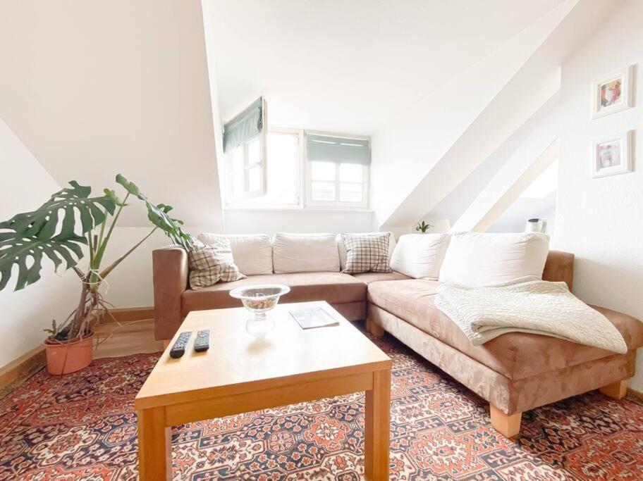 Schoene Ferienwohnung Mit Blick Ueber Stadtwald 莱比锡 外观 照片